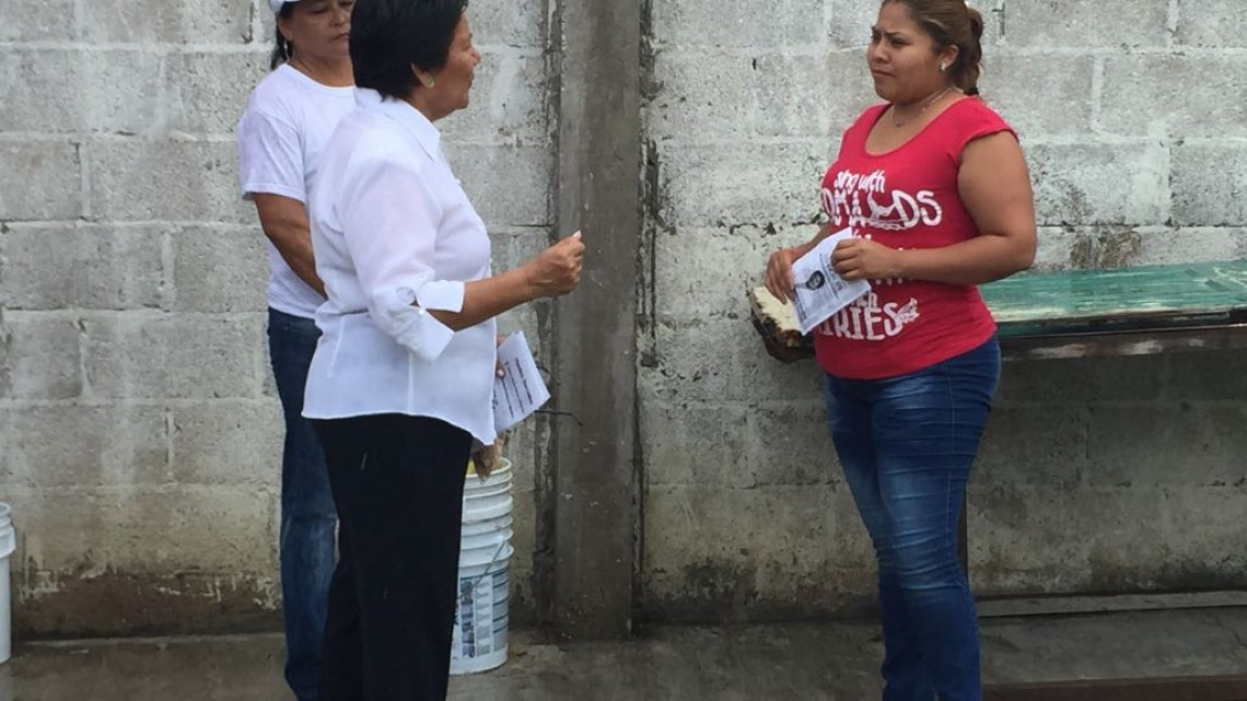 Candidata de Nueva Alianza, recorre calles buscando el voto ciudadano