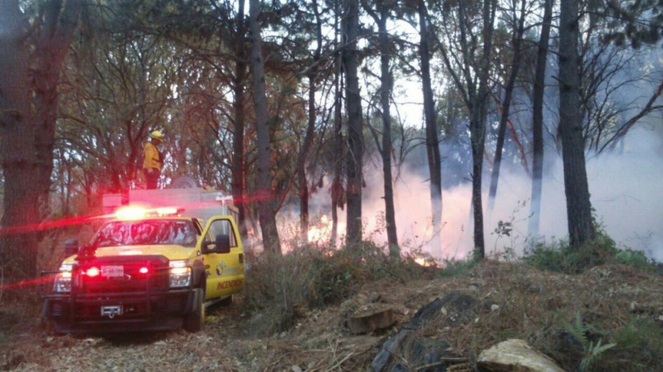 Mantiene Conafor combate contra incendio en Cuernavaca, Morelos