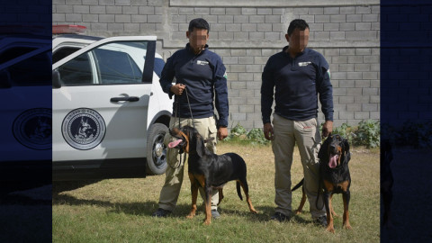 Fiscalía adquiere dos perros adiestrados para ejecutar labores de búsqueda de personas
