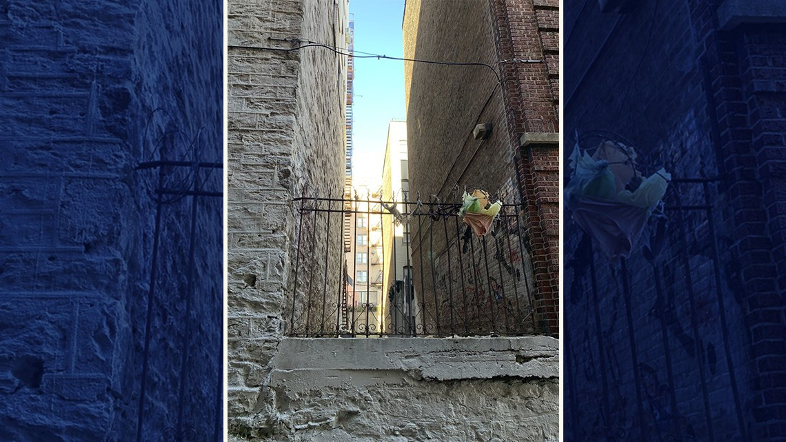 Ardan derechosos: Noroña desde El Bronx