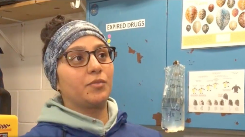 Rescatan a tortugas marinas por bajas temperaturas