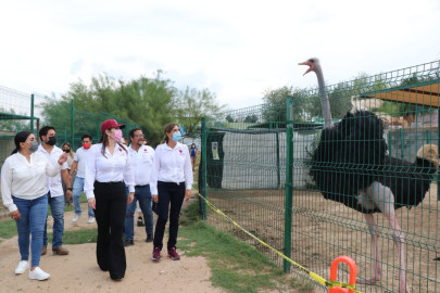 Trabajará gobierno municipal por un mejor zoológico 