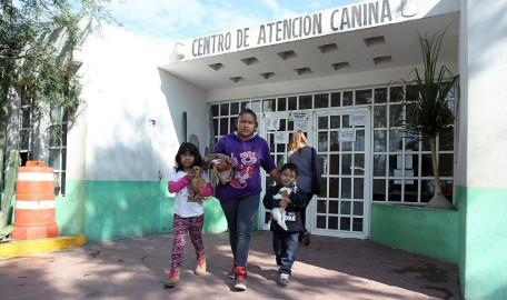 Desabasto de vacuna antirrábica a nivel nacional