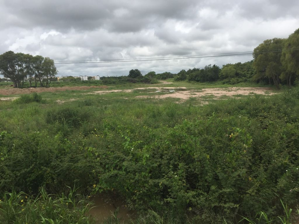 Piden denunciar empresas que rellenan terrenos