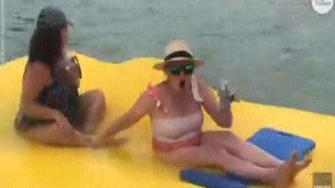 Tiburones martillo rodean a turistas que se divertían en la playa