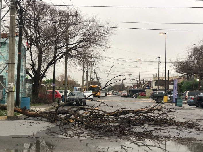 Tormenta eléctrica causa percances durante madrugada