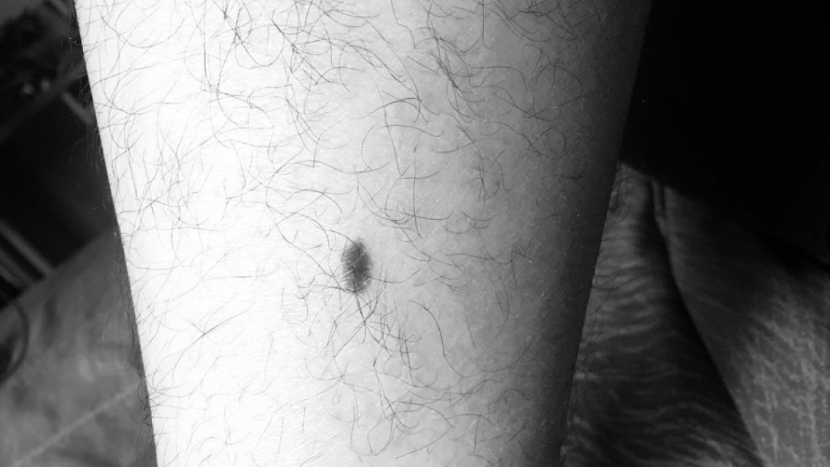 Llega el #JonBoyChallenge