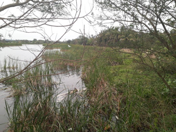 Continua relleno de lagunas en Altamira