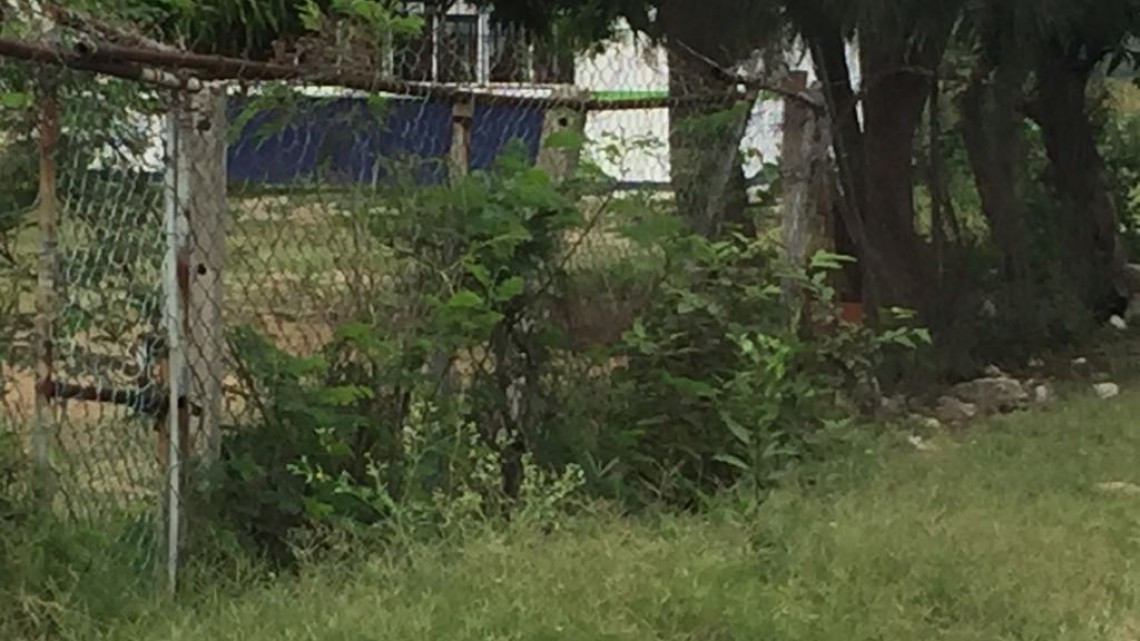 Vandalizan escuela primaria, ante ausencia de seguridad