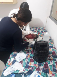 Dan de alta a bebe abandonada en un bote de basura