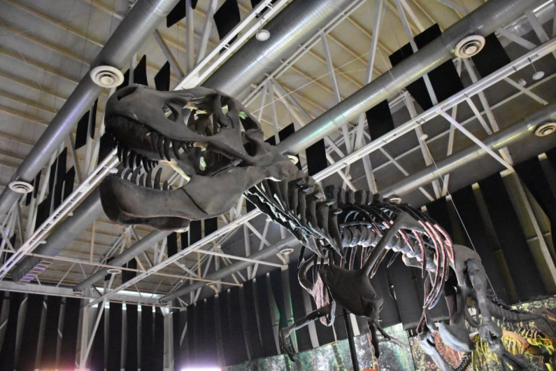 Vuelve a Tamaulipas la exposición itinerante "Tierra de Dinosaurios"