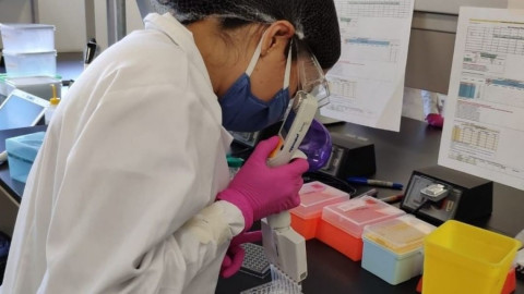 Científicos de la UNAM crean prueba rápida identificar COVID-19