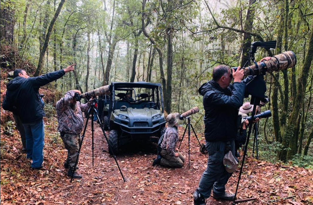 Fotógrafos nacionales registran las bellezas naturales de Tamaulipas