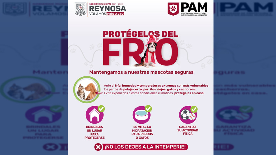 Exhorta Gobierno de Reynosa a proteger a las mascotas
