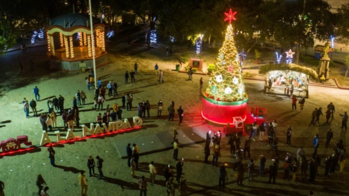 Encienden pino navideño en la Plaza Principal