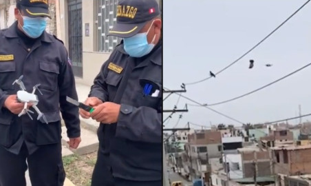 Rescatan con dron a paloma atorada en cables de electricidad