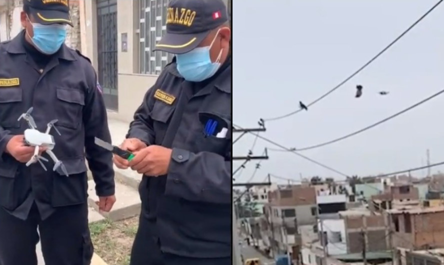 Rescatan con dron a paloma atorada en cables de electricidad