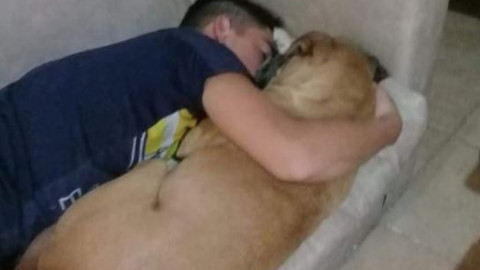 Perrita muere en brazos de su dueño a causa de la pirotecnia 