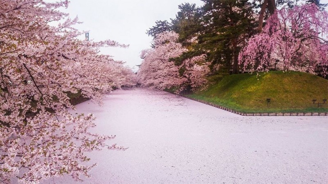 Llega la primavera a las calles de Japón