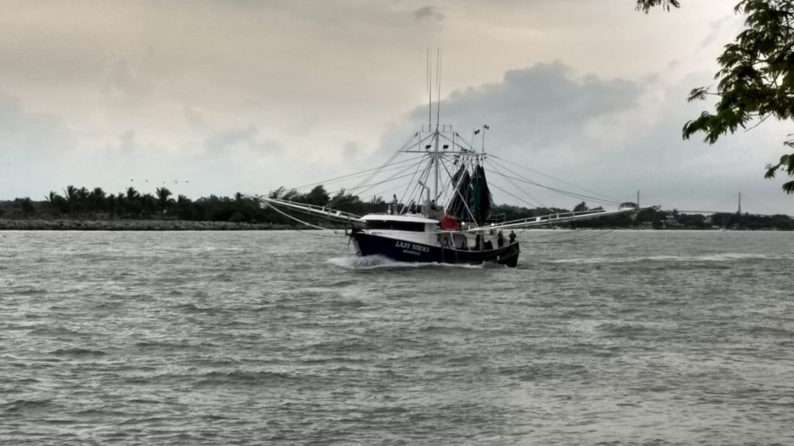 Salen a la mar 200 embarcaciones pesqueras en busca de camarón