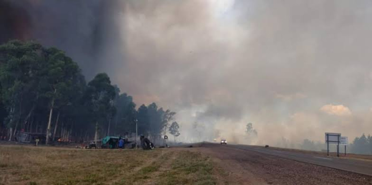 Evacuan a residentes en Condado Brooks por incendio masivo