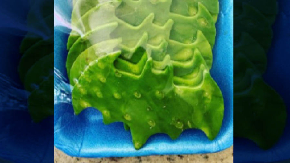 Llega la ‘Batiseñal’ ¡En forma de nopales! 