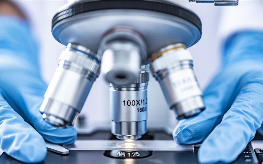 Se confirma primer caso de viruela del mono en EEUU 