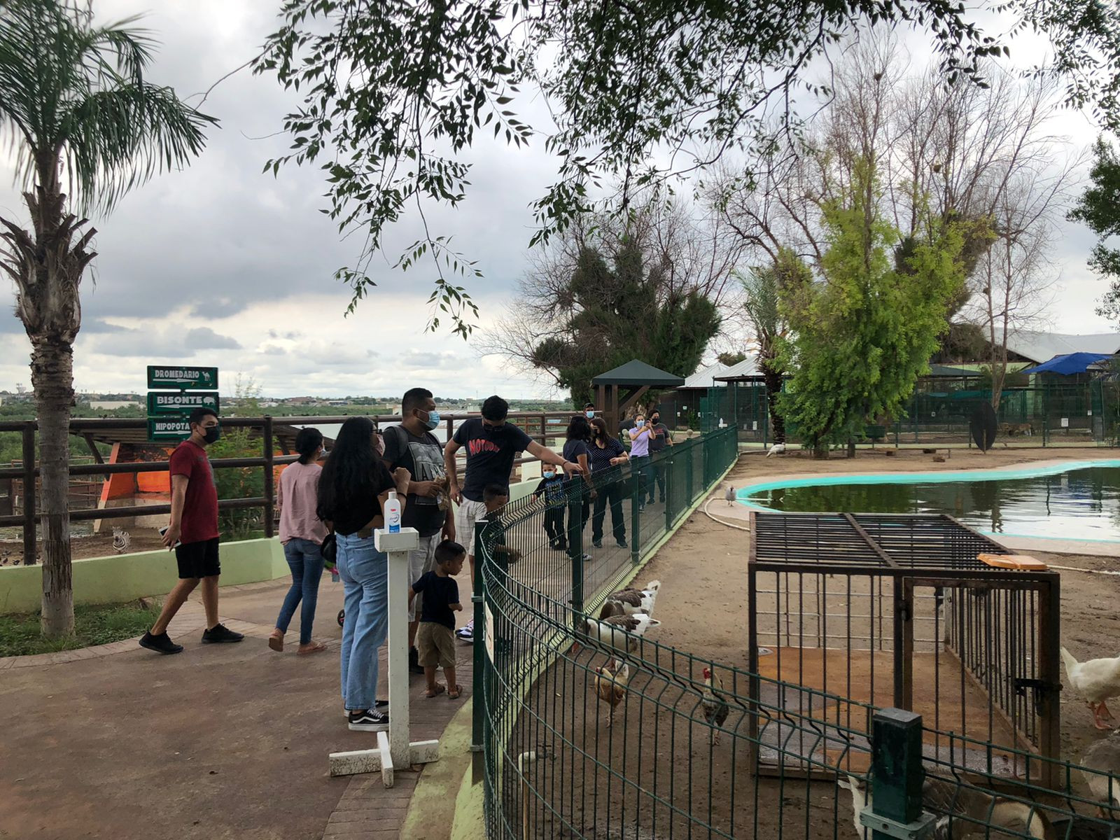 El 49.3% de de la fauna que habita en el zoológico de NL es depositada por PROFEPA 