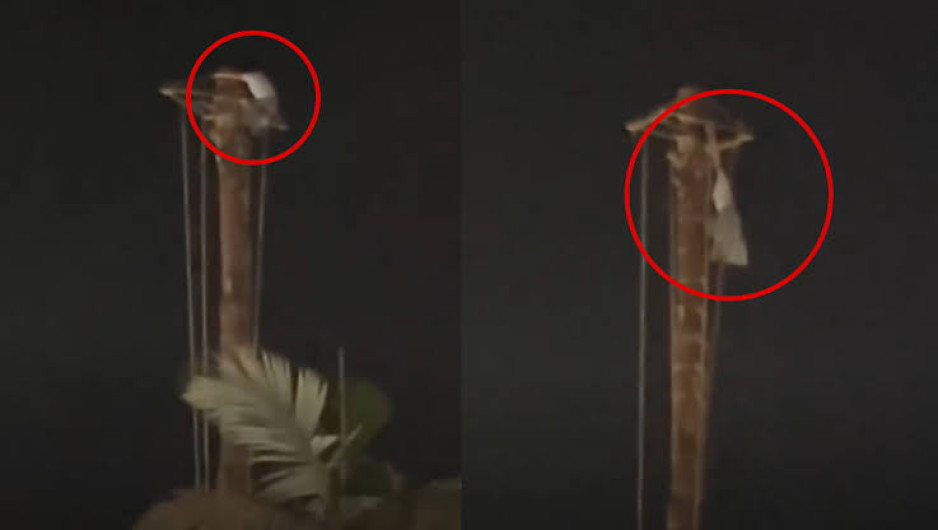 ¿Voladora improvisada? Turista ebria escala mástil de Cuetzalan y amenaza con lanzarse