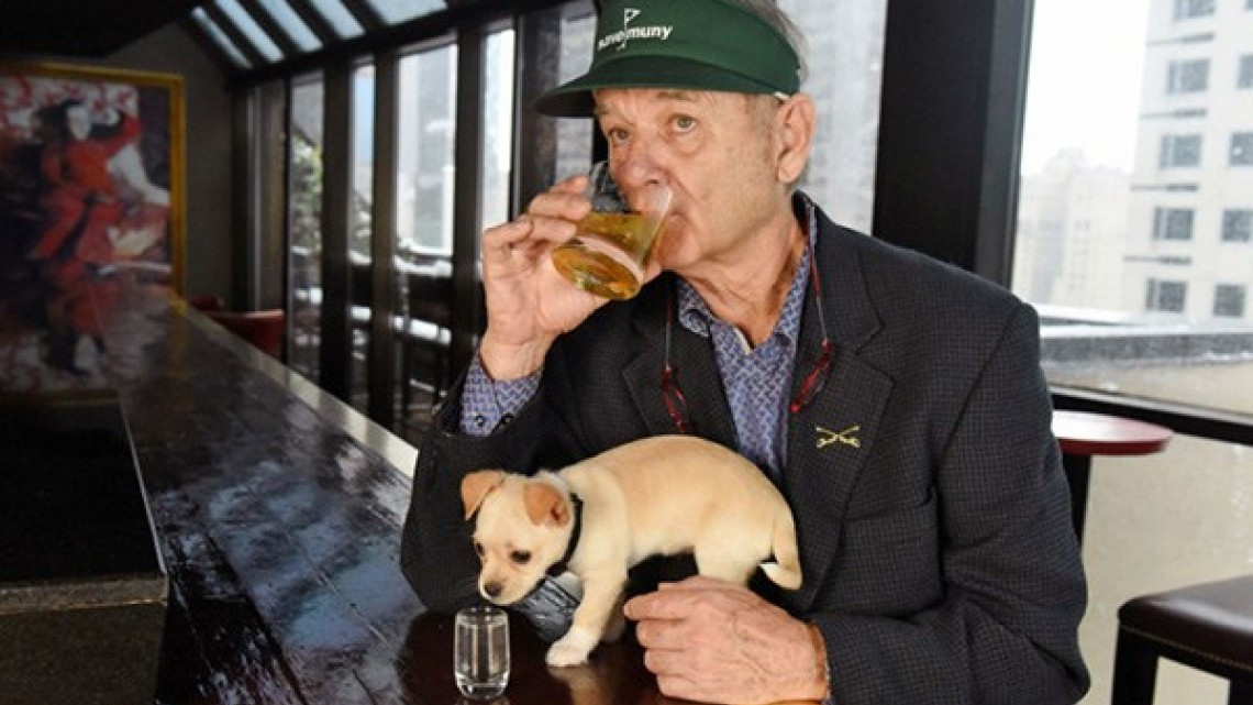 Protagonistas de Isle of dogs posan con cachorritos