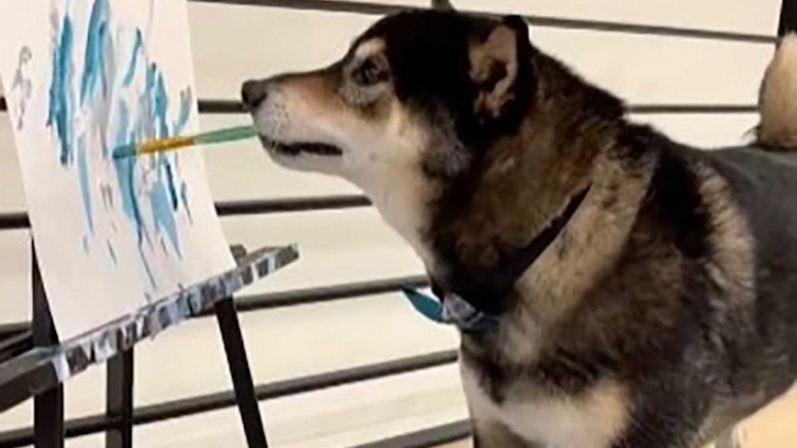 Hunter, el perrito pintor que ha ganado miles de dólares con sus pinturas