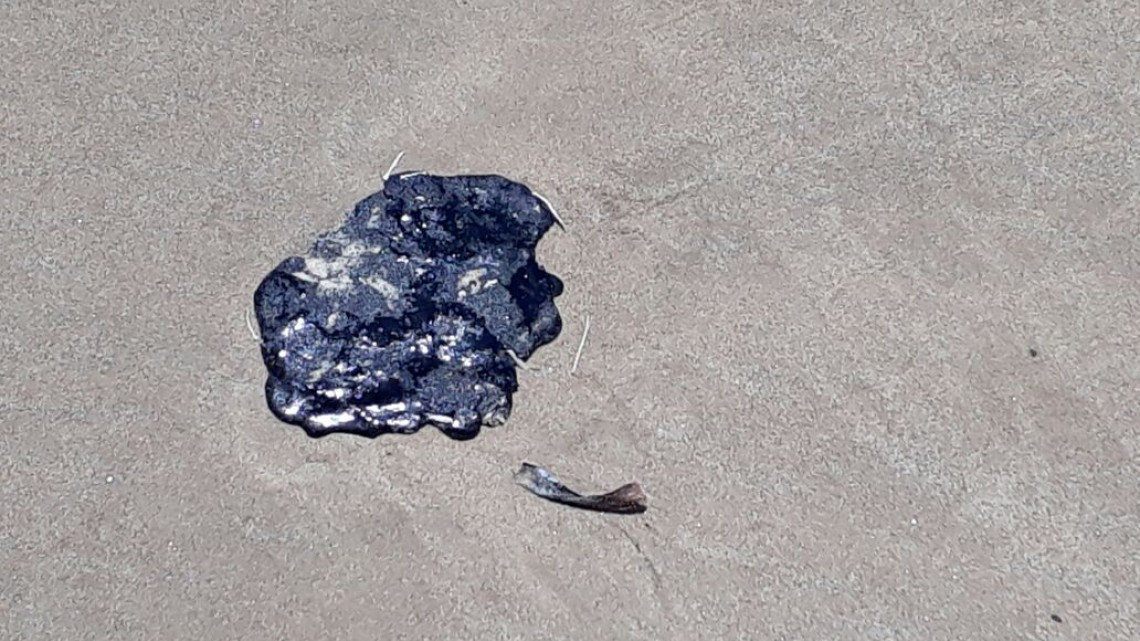 Lentitud en el proceso administrativo retrasa sanciones en temas ambientales