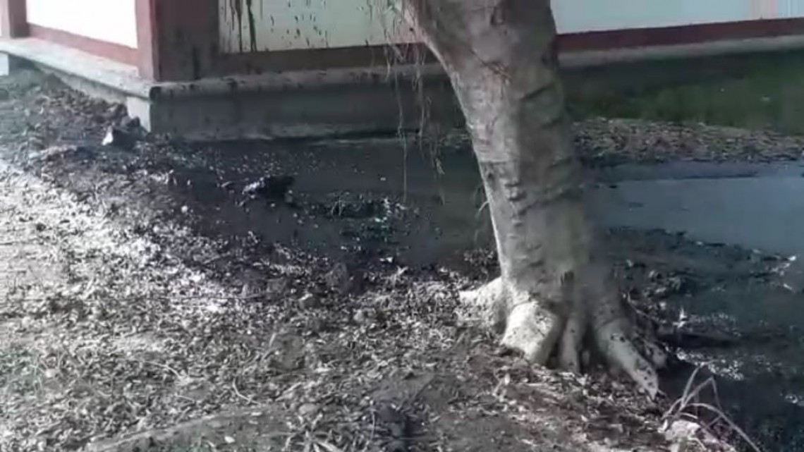 Pide PC mapa de líneas muertas a Pemex, para prever futuros brotes de crudo