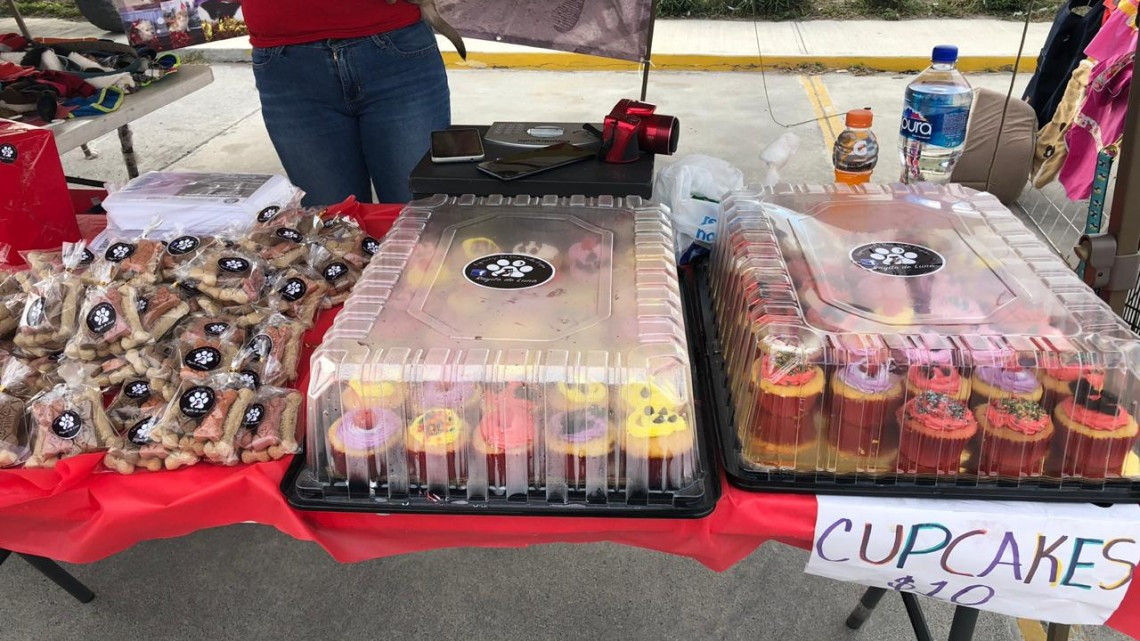 Rifan entrenamiento canino a beneficio de refugios de animales