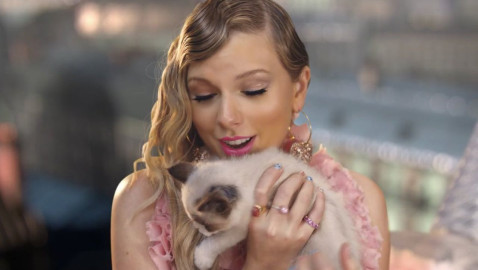 ‘Benjamin Button’ es oficialmente el nuevo gatito de Taylor Swift