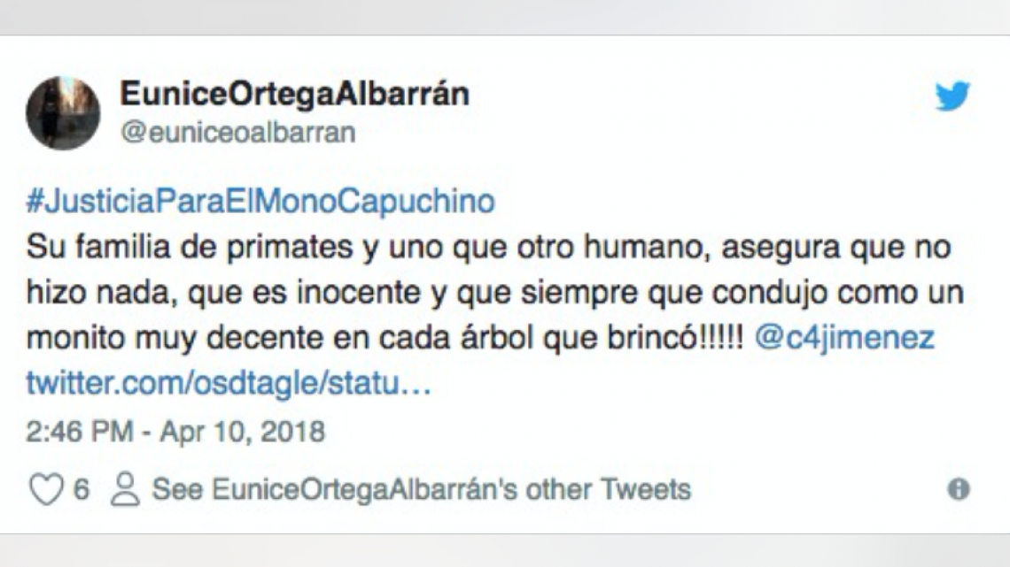 Reacciones y memes por captura del mono de las lomas