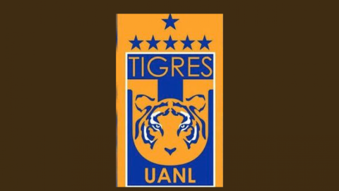 En 2010 lloraba por Tigres casi descendido, hoy festeja campeonato