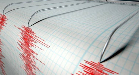 Sismo de 4.9 grados sacude la parte central de Venezuela