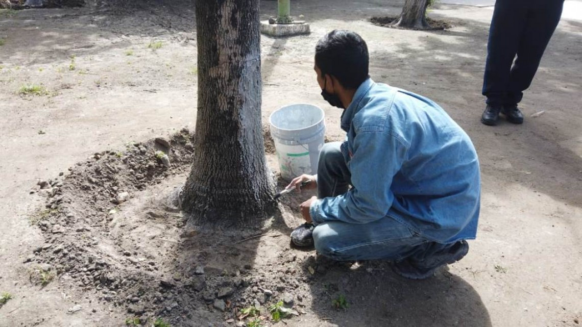 Dentro del programa “Prevenir, una Tarea de Todos”, jóvenes realizaron trabajos de limpieza