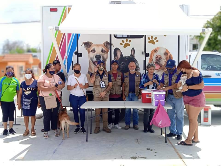 Vacuna Gobierno Municipal a mascotas 