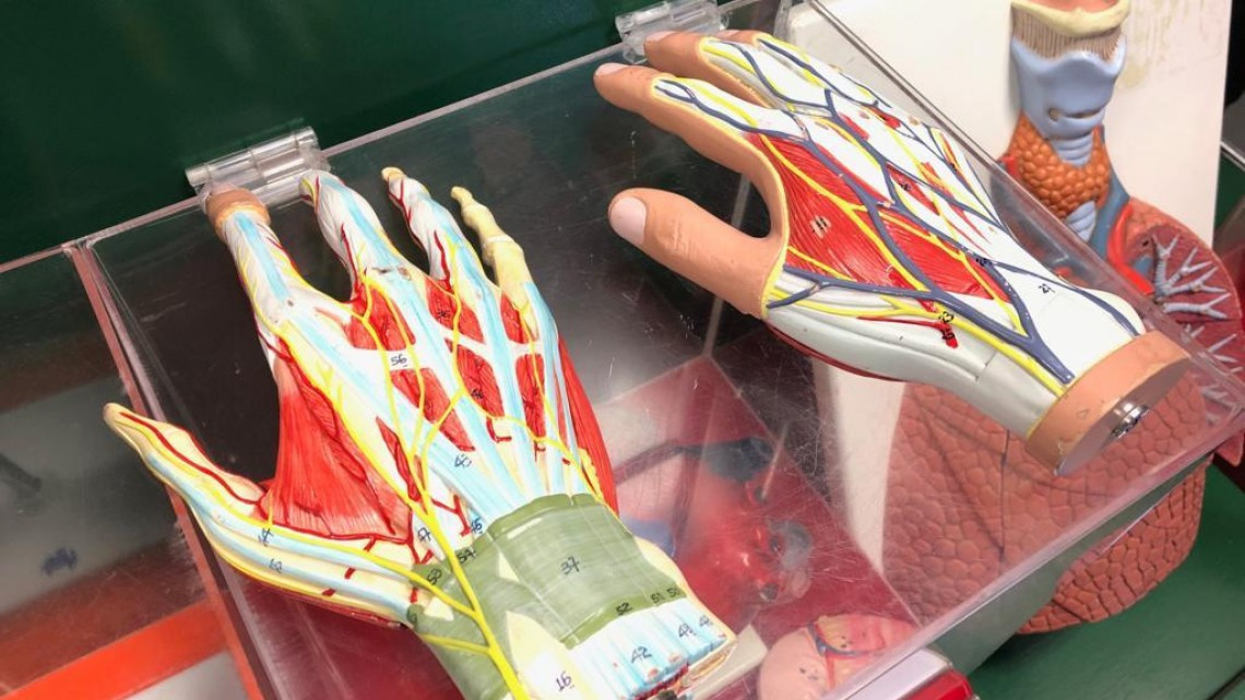 Recibe el Cobat 02 al museo móvil