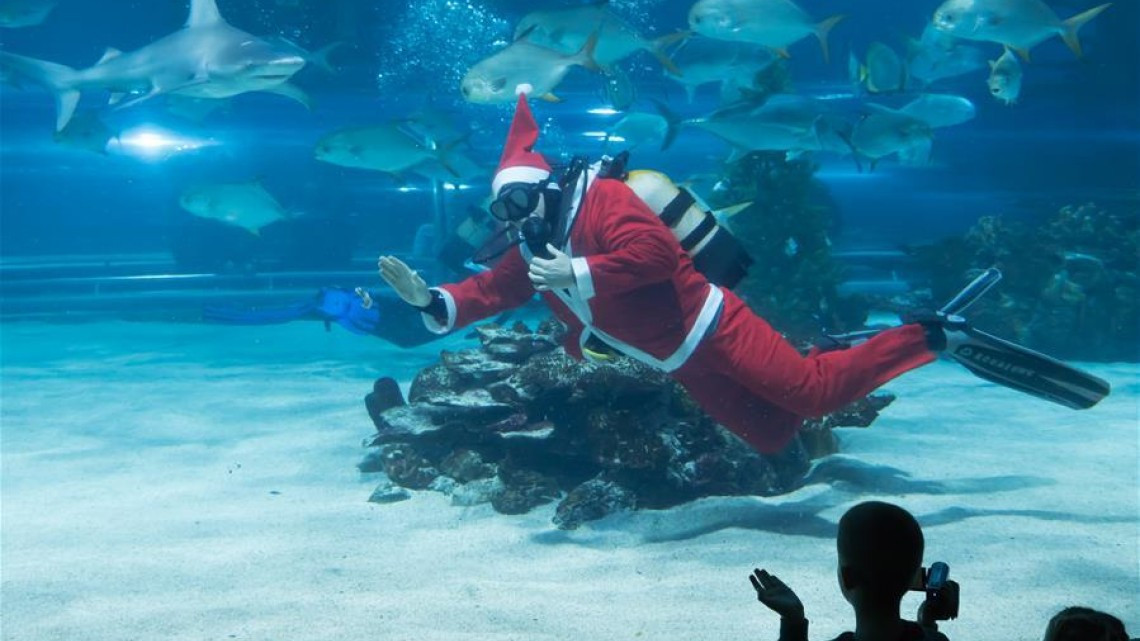 Buzos disfrazados de Santa brillan en acuarios del mundo