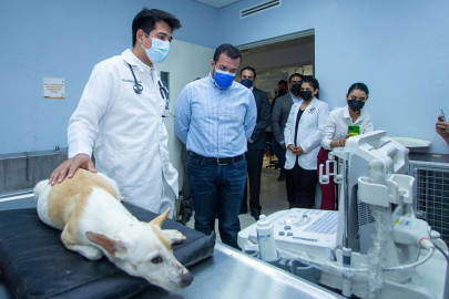 Constata rector de la UAT trabajo del Hospital Veterinario de Pequeñas especies 