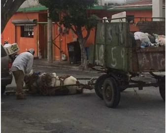 Supervisará Gobierno de Reynosa animales utilizados por carretoneros