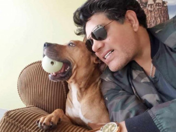 Ofrecen recompensa de 300 mil pesos por asesinos de pitbulls 