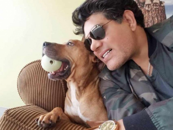 Ofrecen recompensa de 300 mil pesos por asesinos de pitbulls 