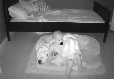 Niño se baja de su cama para dormir con su perro 