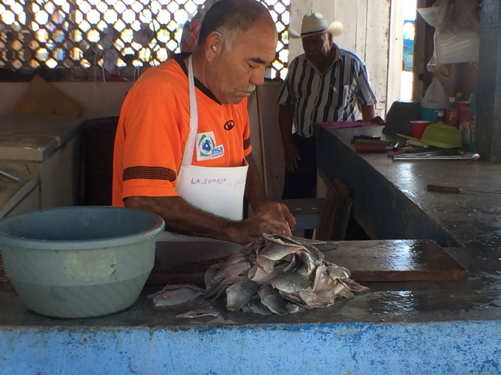 Buscan favorecer a pescadores del Sur Tamaulipas