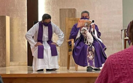 Sacerdote oficia misa con su perrita en el regazo