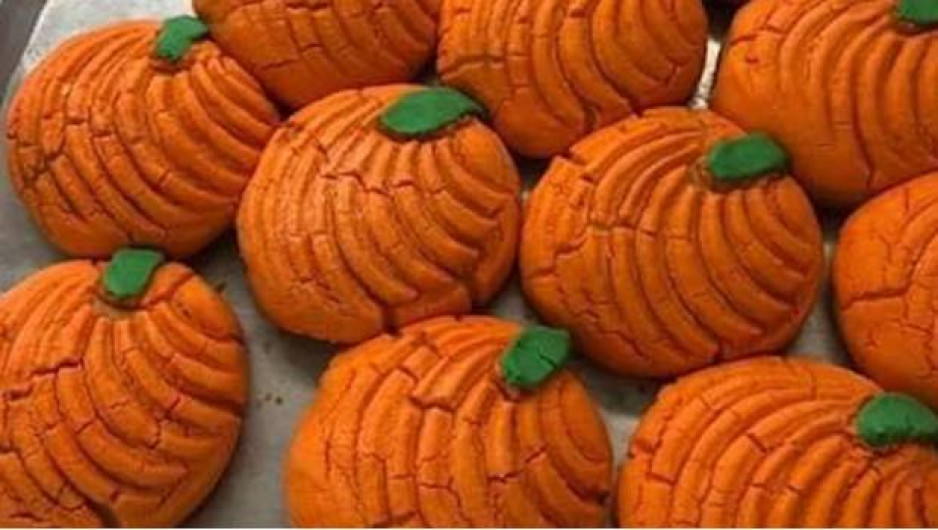 Y ahora, llegan las ¡Calabaconchas!